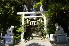 大國魂神社の鳥居