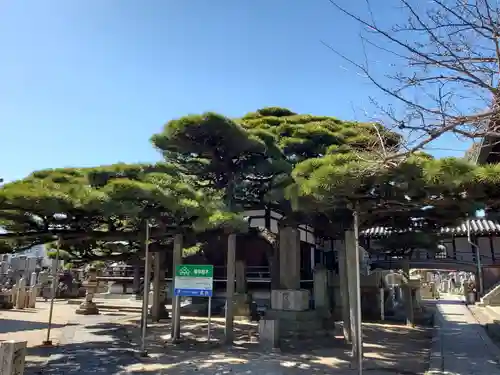 十輪寺のその他建物