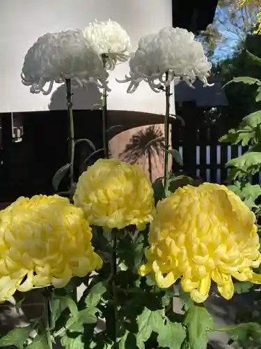 阿佐ヶ谷神明宮(東京都)