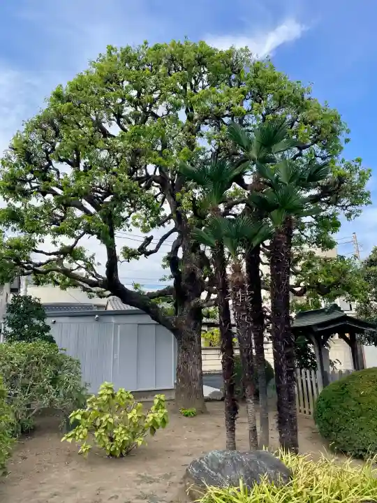 西光寺(茨城県)