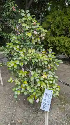 城南宮(京都府)