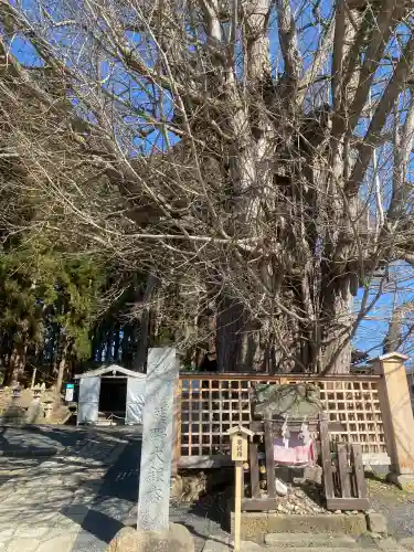 熊野大社(山形県)