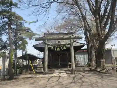 須賀神社(群馬県)