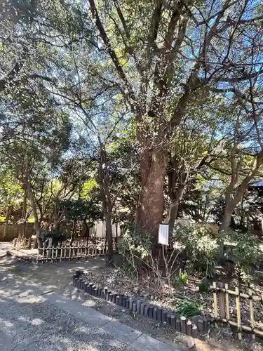 畑子安神社(千葉県)
