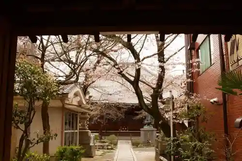 墨染寺（桜寺）の本殿