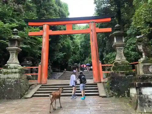 春日大社(奈良県)