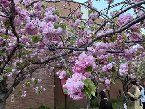 出会い不動の{uncategorized: "未分類", other: "その他", undefined: "問題あり", building: "その他建物", grave: "お墓", sacred_gate: "鳥居", guardian: "狛犬", statue: "像", buddha: "仏像", history: "歴史", nature: "自然", garden: "庭園", animal: "動物", pagoda: "塔", temizu: "手水舎", mountain_gate: "山門・神門", sanctuary: "本殿・本堂", subordinate: "末社・摂社", art: "芸術", scenery: "景色", jizo: "地蔵", ema: "絵馬", goshuin: "御朱印", omikuji: "おみくじ", items: "授与品その他", amulet: "お守り", goshuincho: "御朱印帳", eats: "食事", festival: "お祭り", votive_dance: "神楽", shichigosan: "七五三参", wedding: "結婚式", experience: "体験その他", initially: "初詣", around: "周辺", anti_infection: "感染症対策"}