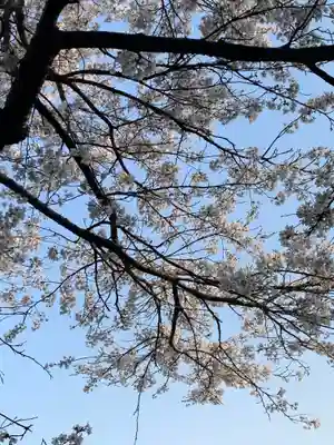 大杉神社　加茂神社(栃木県)