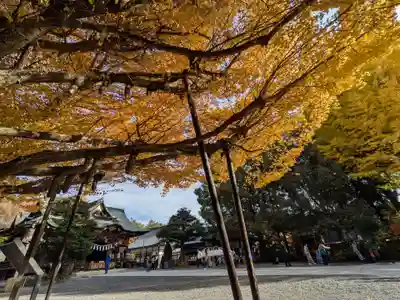秩父神社(埼玉県)