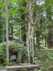 河口浅間神社(山梨県)