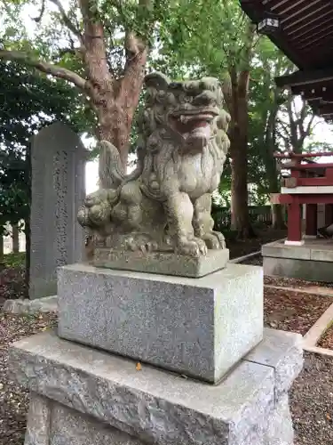 小金八坂神社の狛犬