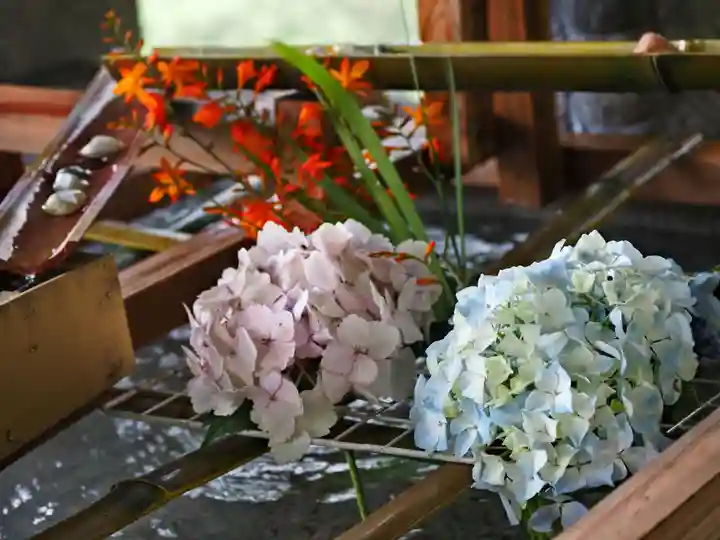 太龍寺の手水舎