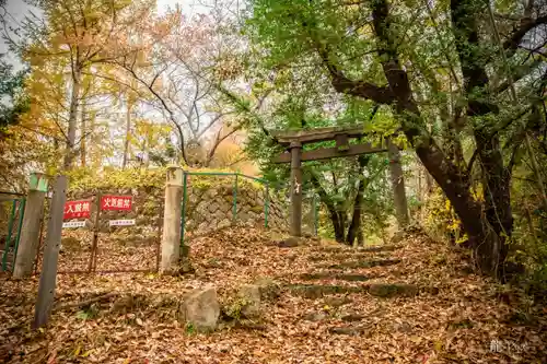 天神社(長野県)