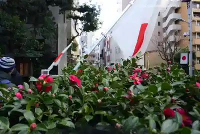 東京大神宮(東京都)