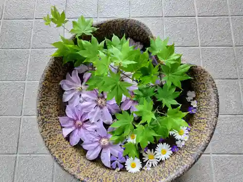 美瑛神社の手水舎