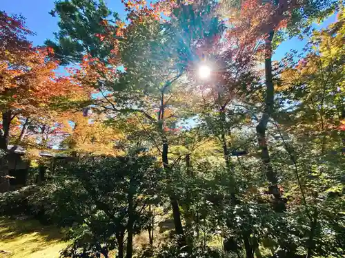 大法院(京都府)