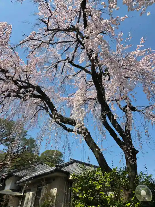 中院の{uncategorized: "未分類", other: "その他", undefined: "問題あり", building: "その他建物", grave: "お墓", sacred_gate: "鳥居", guardian: "狛犬", statue: "像", buddha: "仏像", history: "歴史", nature: "自然", garden: "庭園", animal: "動物", pagoda: "塔", temizu: "手水舎", mountain_gate: "山門・神門", sanctuary: "本殿・本堂", subordinate: "末社・摂社", art: "芸術", scenery: "景色", jizo: "地蔵", ema: "絵馬", goshuin: "御朱印", omikuji: "おみくじ", items: "授与品その他", amulet: "お守り", goshuincho: "御朱印帳", eats: "食事", festival: "お祭り", votive_dance: "神楽", shichigosan: "七五三参", wedding: "結婚式", experience: "体験その他", initially: "初詣", around: "周辺", anti_infection: "感染症対策"}