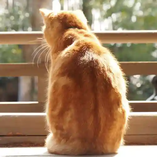 天王山 安楽寺(福井県)