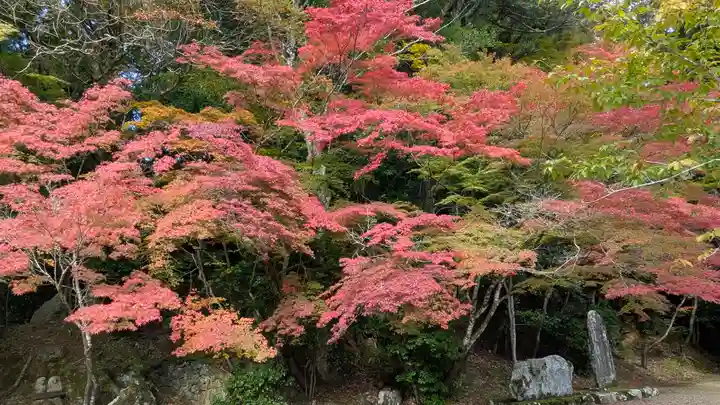 地藏院(京都府)