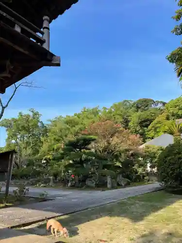 伊勢の国 四天王寺(三重県)