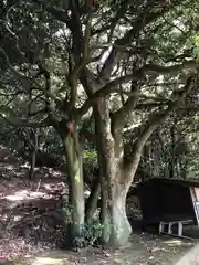 水分神社(福井県)