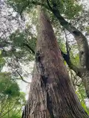 伊勢神宮内宮（皇大神宮）(三重県)