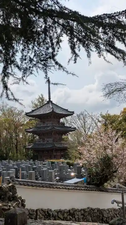 宝積寺(京都府)