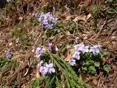 眞弓神社の自然