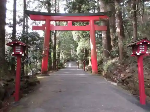 箱根神社の鳥居