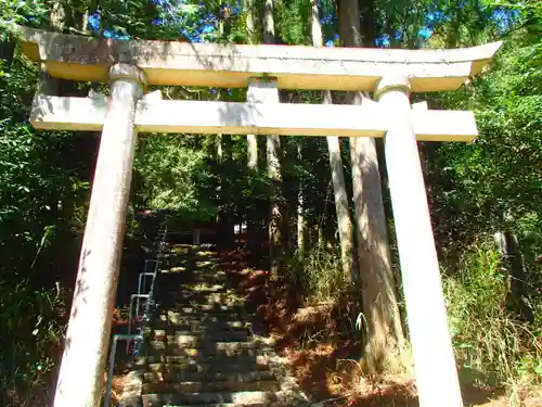 白山神社の鳥居