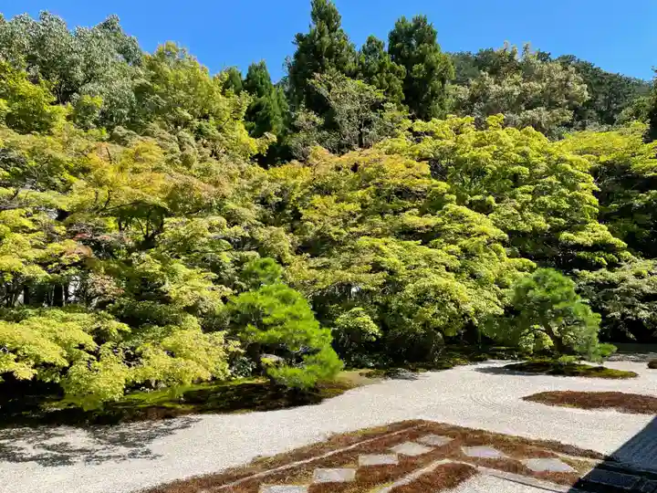 天授庵(京都府)