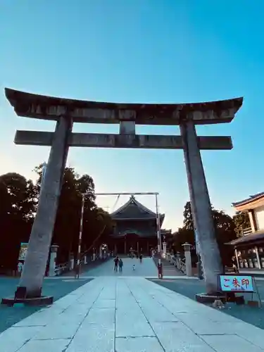 豊川閣　妙厳寺の鳥居