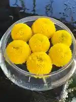 上尾御嶽神社の手水舎