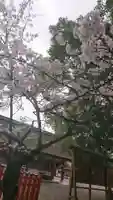 津島神社の自然