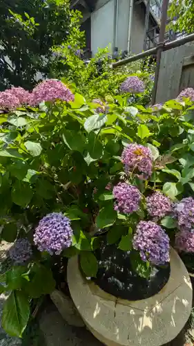 和光寺(大阪府)