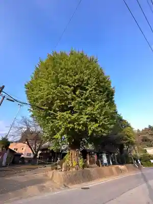 祐照庵　大戸観音堂(東京都)