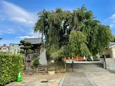 長明寺(東京都)