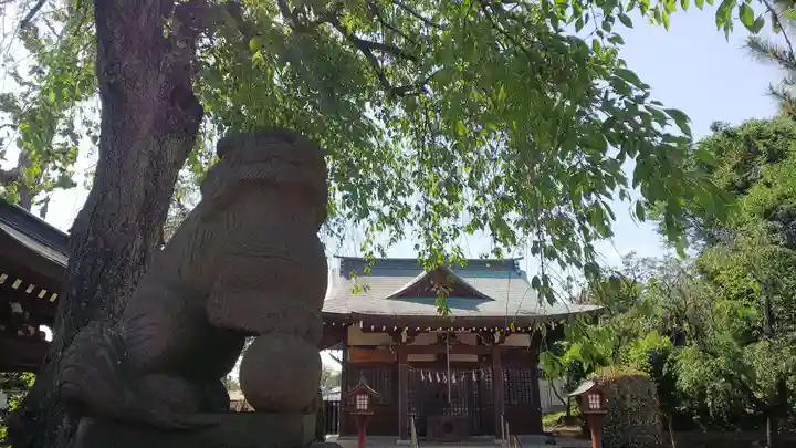 氷川神社の狛犬
