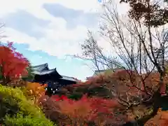 東福禅寺（東福寺）の建物その他