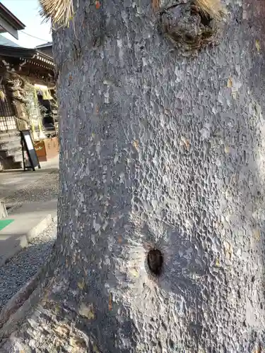 須賀神社(宮城県)