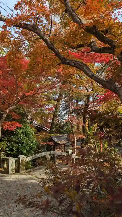 鍬山神社(京都府)