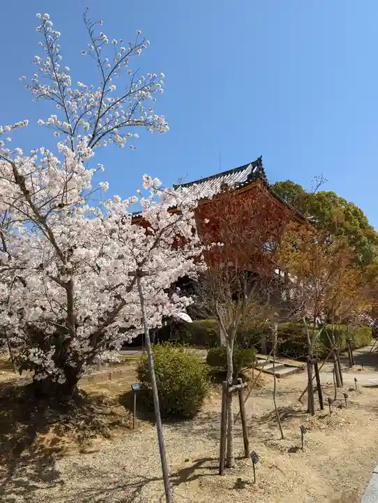 仁和寺(京都府)