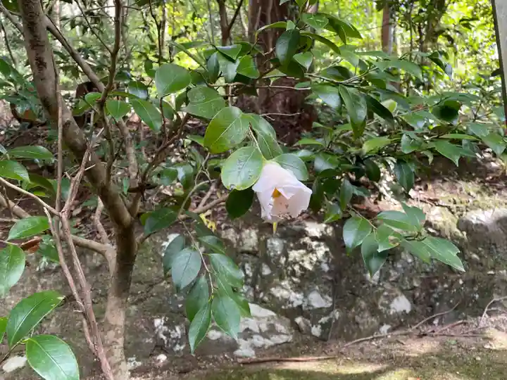 平岡八幡宮(京都府)