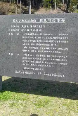 淡墨観音のその他建物