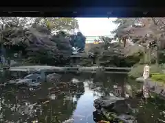 靖國神社の庭園