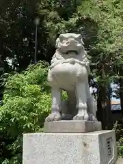 自由が丘熊野神社の狛犬