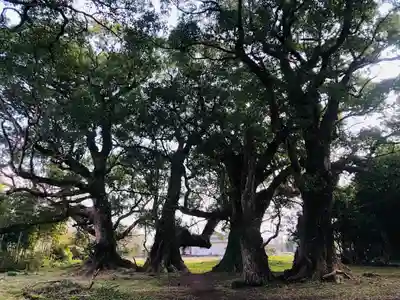 大汝牟遅神社の自然