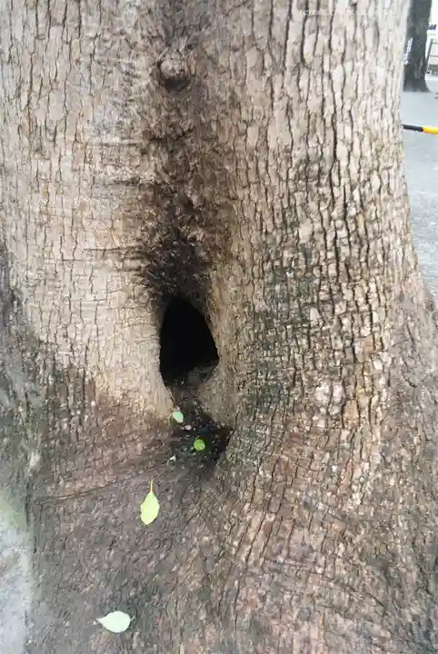 お三の宮日枝神社(神奈川県)