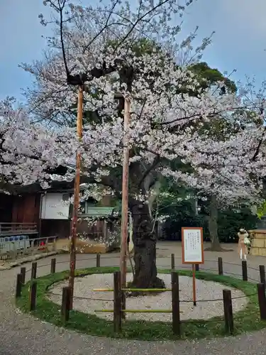 靖國神社(東京都)