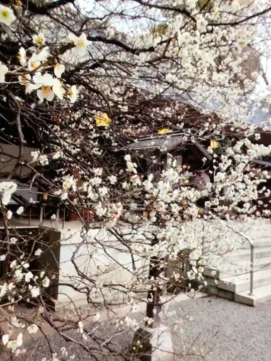 乃木神社(東京都)